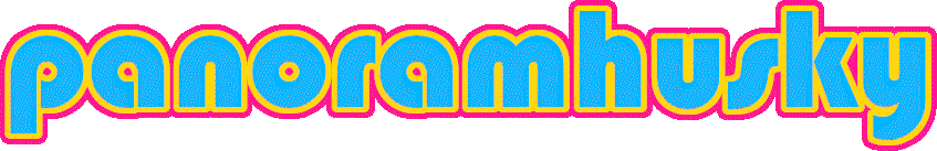 A logo graphic depicting the name 'panoramhusky'
	in the Bauhaus 93 font.